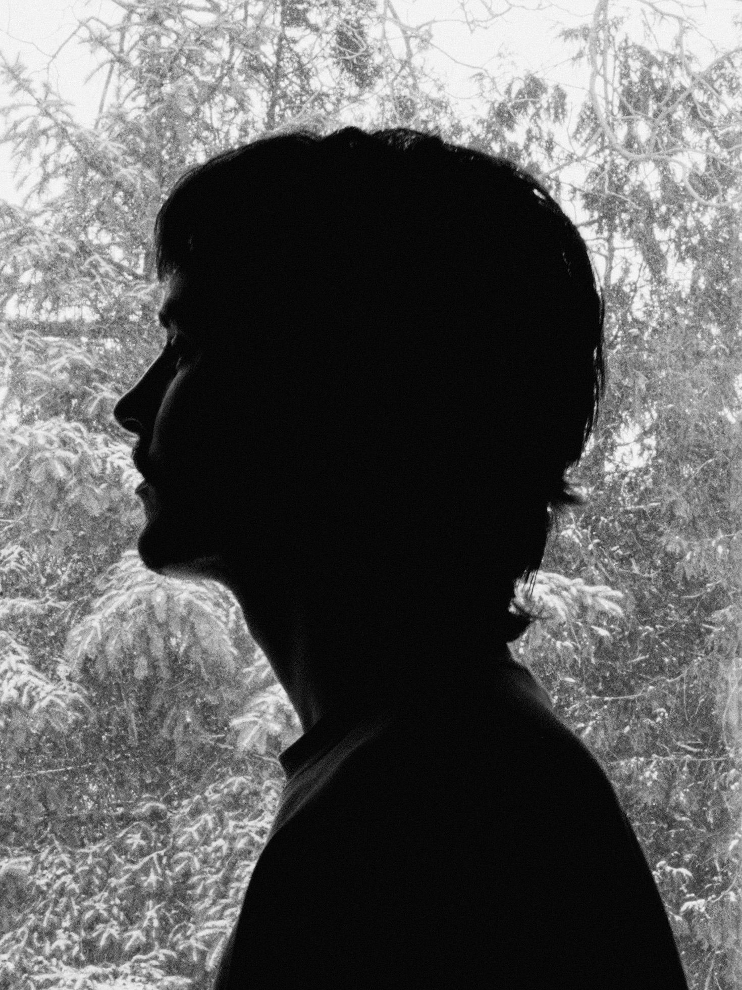 The Art of Insightful Analysis: A Reader’s Journey