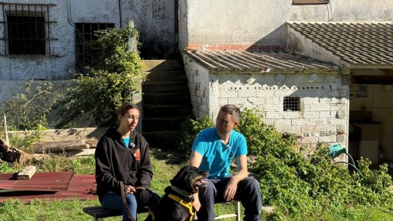 Alejandro y Catalina Escandroli buscan hogar: "Esto es lo que más me llevo de cada día que vengo aquí"