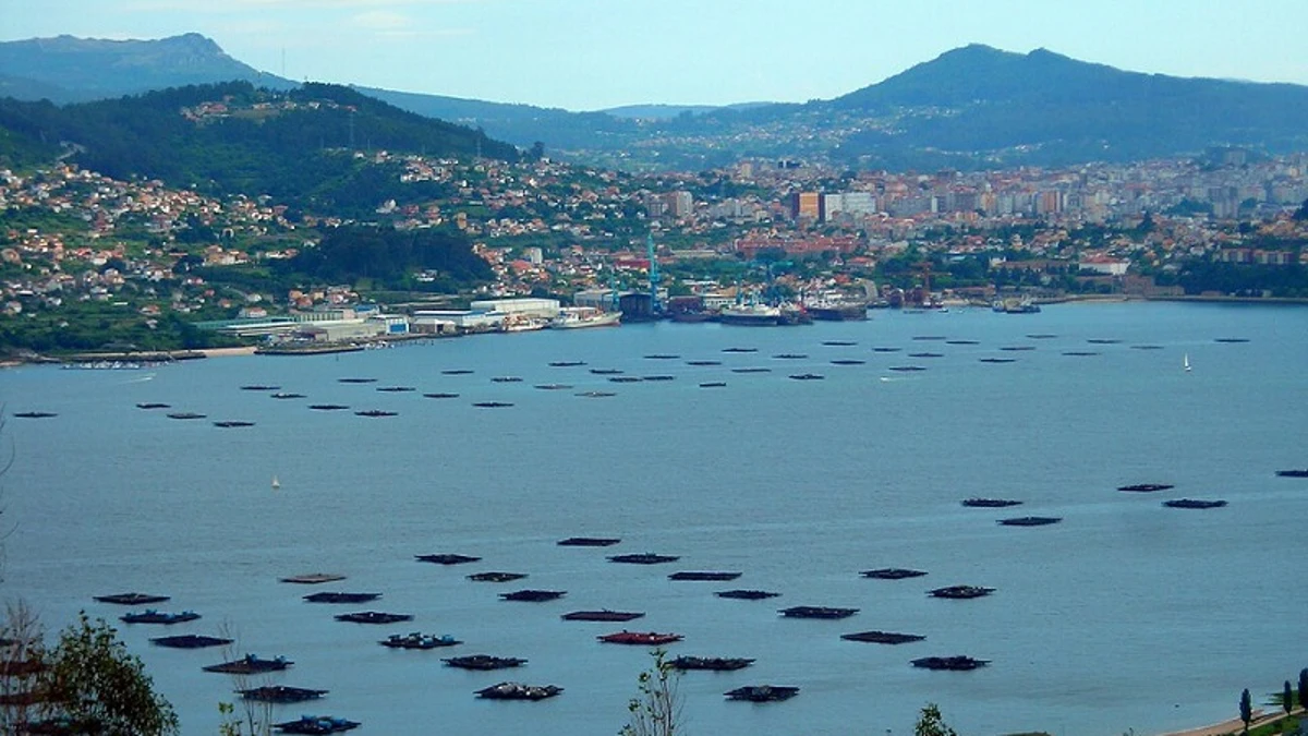 Un marinero muere ahogado en la ría de Vigo tras el choque de su embarcación contra unas bateas mejilloneras