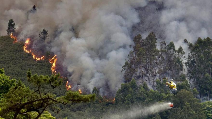 Asturias aprueba la Eplifa 2026-2030: una estrategia integral contra los incendios forestales basada en prevención y cartografía de riesgos