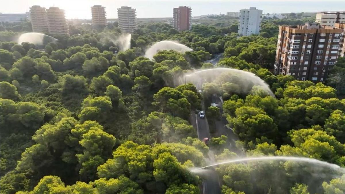 València cierra la Devesa del Saler y todos sus parques naturales ante el riesgo máximo de incendio forestal