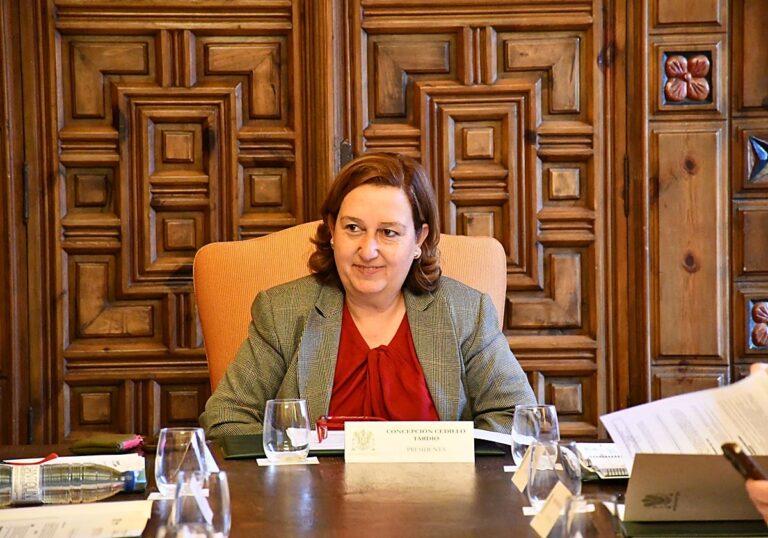 La Diputación de Toledo destina 24.000 euros a un programa de atención a víctimas de violencia de género